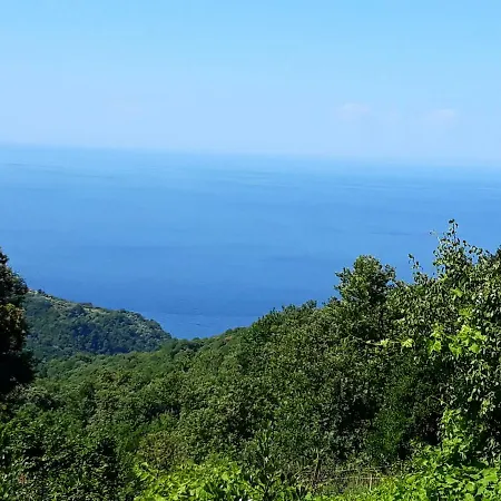 Lejlighed Marinela Anilio Pelion
