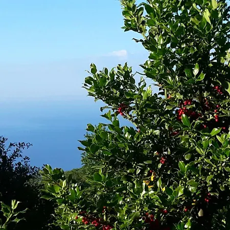 Marinela Anilio Pelion